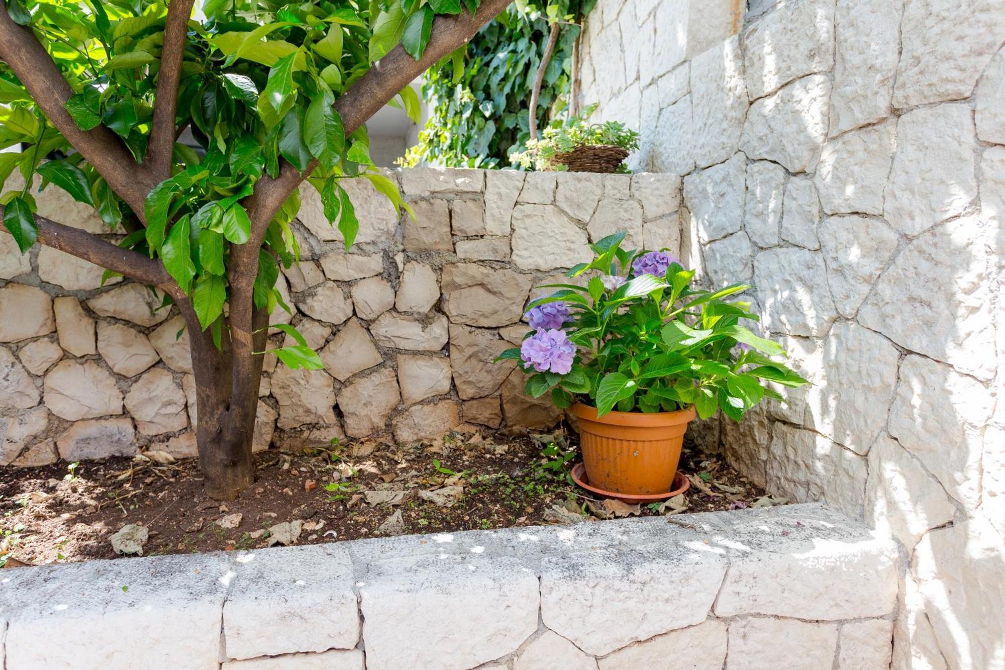 Apartments In Villa Top Τρογκίρ Δωμάτιο φωτογραφία